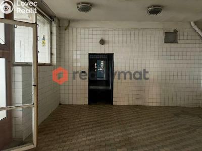 Pronájem skladového prostoru Hodonín, U Tirexu č. 3