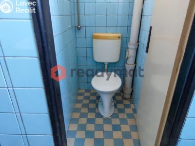 Pronájem skladového prostoru Hodonín, U Tirexu č. 4