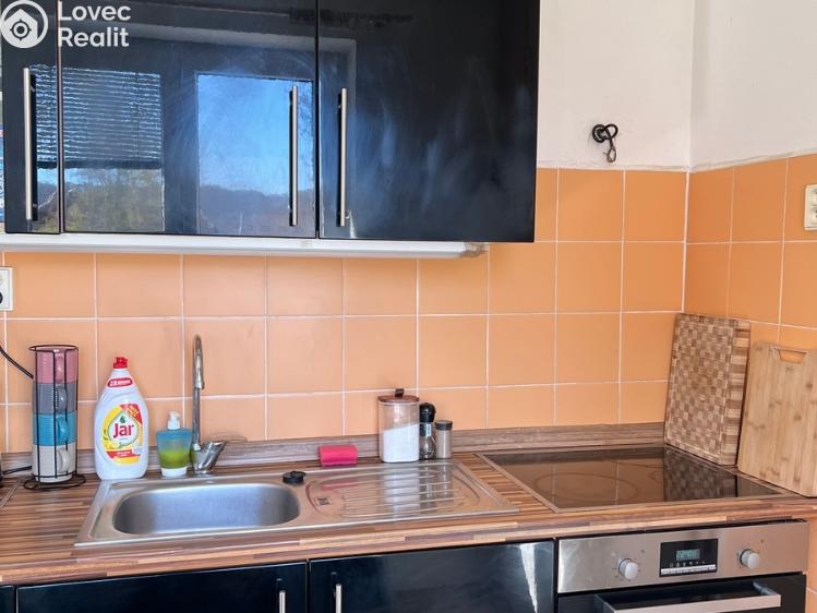 Rent apartment 2+1 Ústí nad Labem, Studentská č. 4
