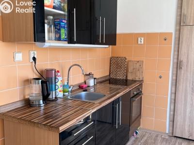 Rent apartment 2+1 Ústí nad Labem, Studentská č. 2