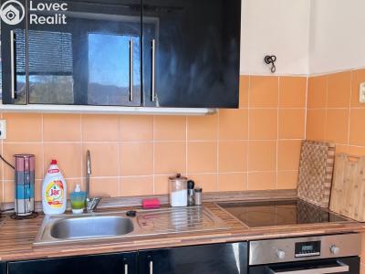 Rent apartment 2+1 Ústí nad Labem, Studentská č. 4