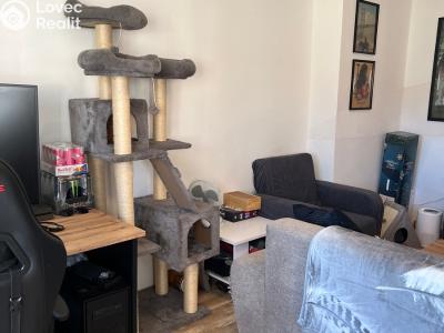 Rent apartment 2+1 Ústí nad Labem, Studentská č. 8