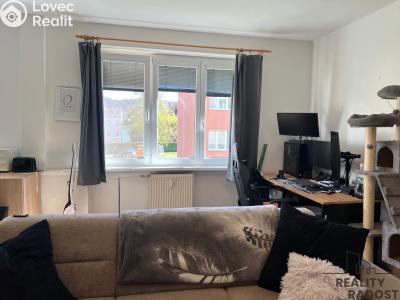 Rent apartment 2+1 Ústí nad Labem, Studentská č. 9