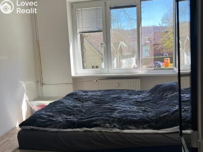 Rent apartment 2+1 Ústí nad Labem, Studentská č. 12