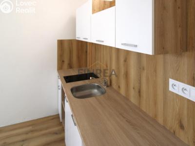 Pronájem bytu 1+KK Jirkov, Studentská 1271 č. 4