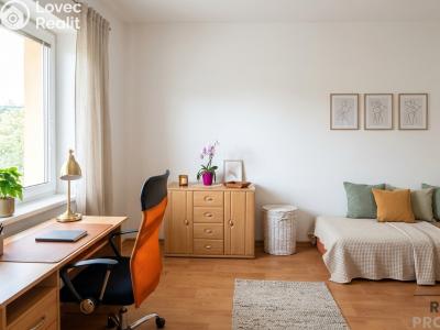 Rent room České Budějovice, Lidická tř. č. 3