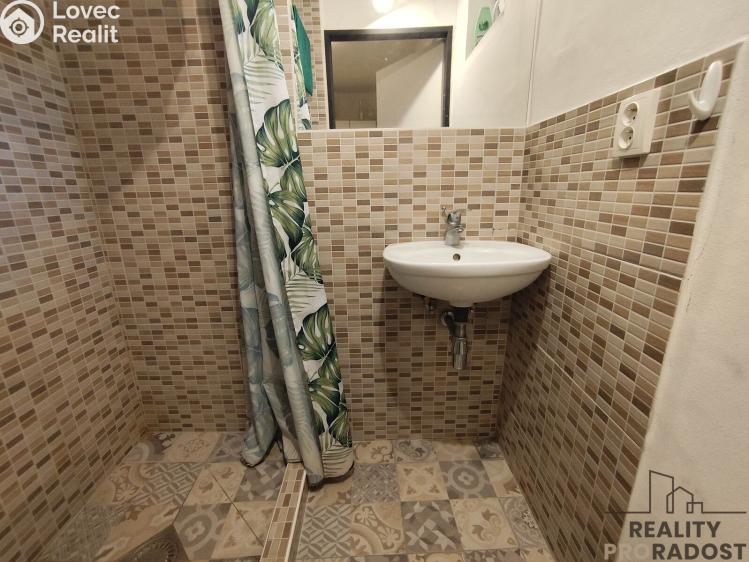 Prodej vícegeneračního domu Brno, Odlehlá 10/19 č. 5