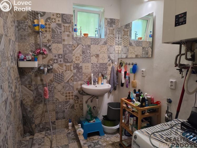 Prodej vícegeneračního domu Brno, Odlehlá 10/19 č. 7