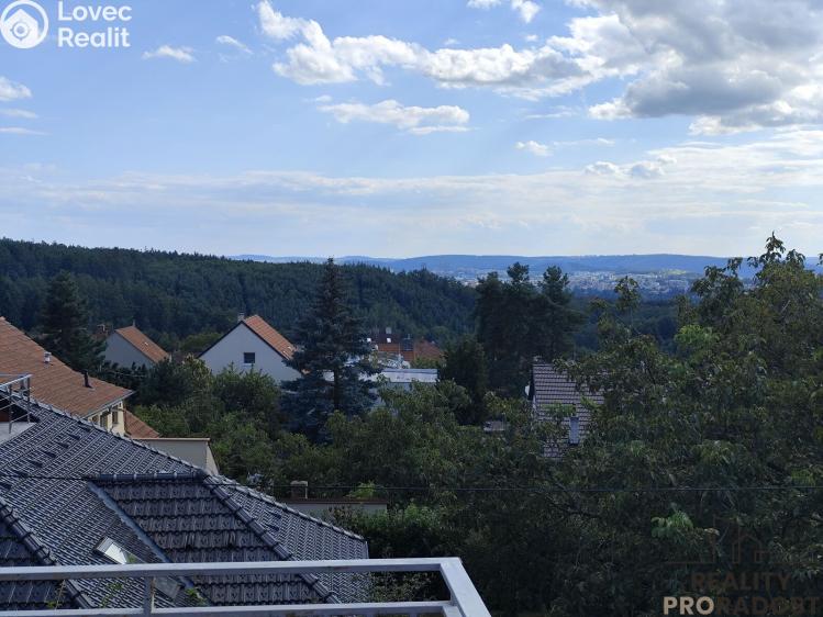 Prodej vícegeneračního domu Brno, Odlehlá 10/19 č. 19