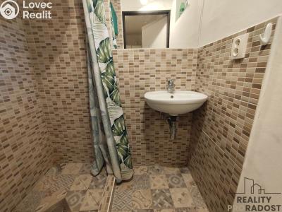 Prodej vícegeneračního domu Brno, Odlehlá č. 5