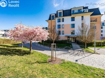 Продажа квартиры 3+KK Praha, Nademlejnská č. 3