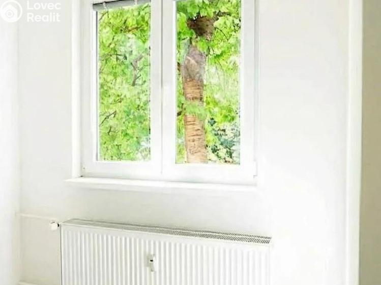 Pronájem bytu 3+KK Praha, Loudova č. 4