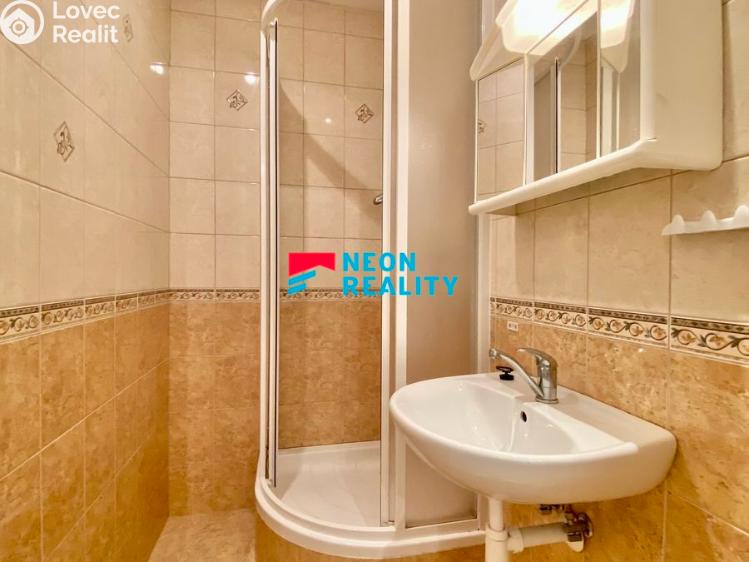 Pronájem bytu 1+1 Orlová, Okružní č. 4