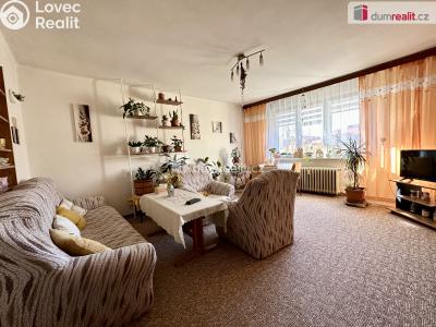 Prodej bytu 2+1 Ostrov, Hlavní třída č. 3