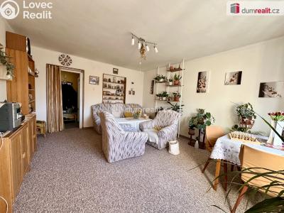 Prodej bytu 2+1 Ostrov, Hlavní třída č. 4