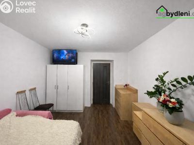 Продаж квартири 2+1 Stříbro, Západní Předměstí č. 3