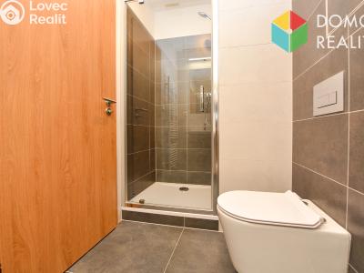 Pronájem bytu 1+KK Beroun, Nepilova 2111 č. 5