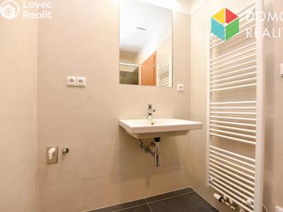 Pronájem bytu 1+KK Beroun, Nepilova 2111 č. 6