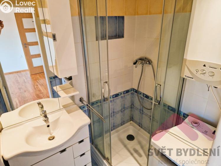 Pronájem bytu 1+KK Praha, Sevřená č. 7