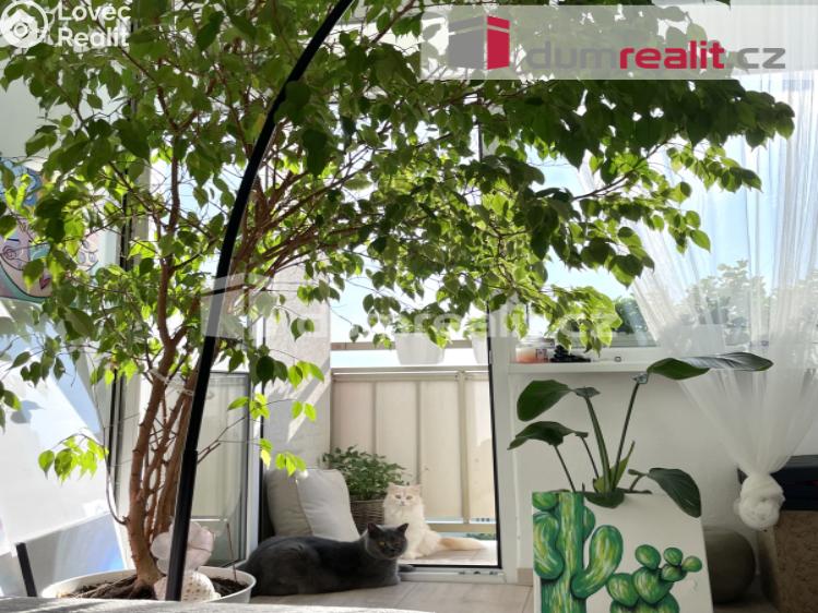 Оренда квартири 2+1 Roudnice nad Labem, Alej 17. listopadu č. 7