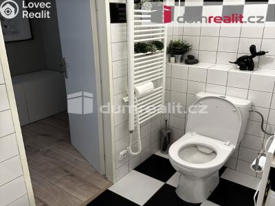 Оренда квартири 2+1 Roudnice nad Labem, Alej 17. listopadu č. 5