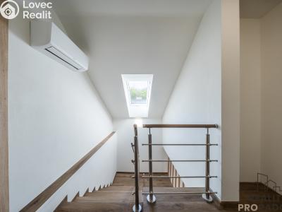Продаж сімейного будинку Čejkovice, V Sadech č. 32