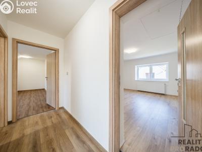 Продаж сімейного будинку Čejkovice, V Sadech č. 40