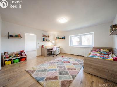 Продаж сімейного будинку Čejkovice, V Sadech č. 42
