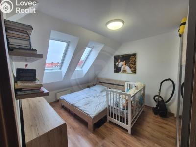 Продажа квартиры 3+KK České Budějovice, Kamarytova č. 7