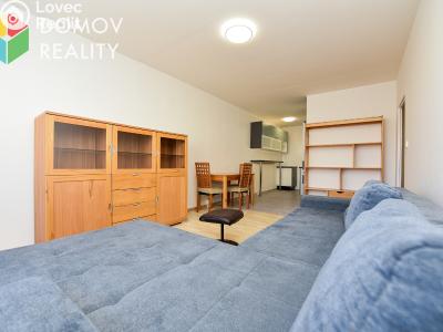 Pronájem bytu 3+KK Praha, Hostinského č. 6