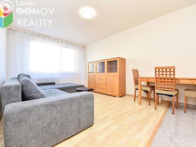 Pronájem bytu 3+KK Praha, Hostinského č. 2