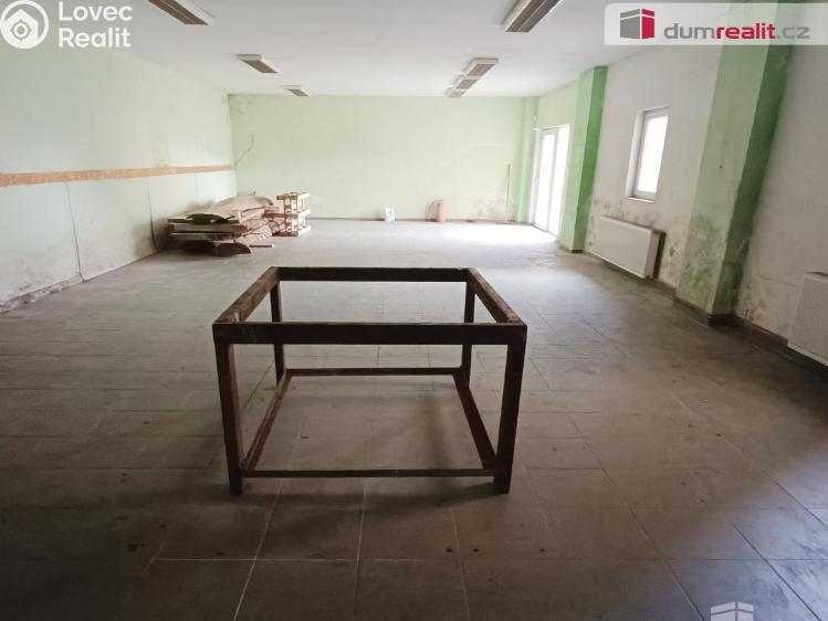 Prodej výrobní haly Děčín, Dělnická č. 4