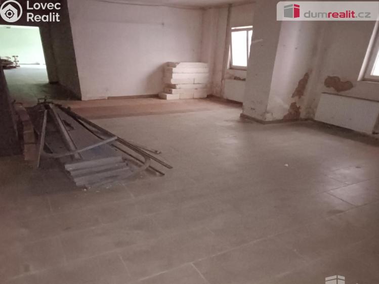 Prodej výrobní haly Děčín, Dělnická č. 7