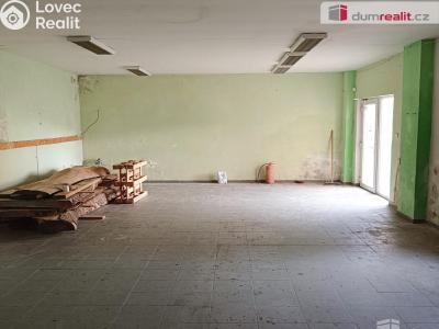 Prodej výrobní haly Děčín, Dělnická č. 3