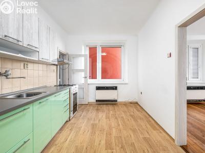 Продажа квартиры 1+1 České Budějovice, Klaricova č. 1