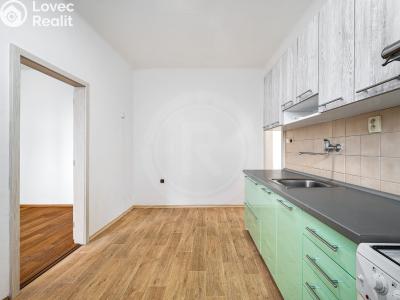 Продажа квартиры 1+1 České Budějovice, Klaricova č. 3