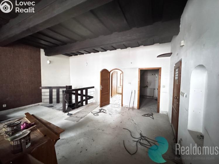 Pronájem restaurace České Budějovice, Česká č. 3