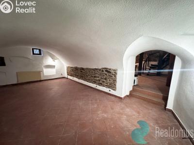 Оренда ресторану České Budějovice, Česká č. 8