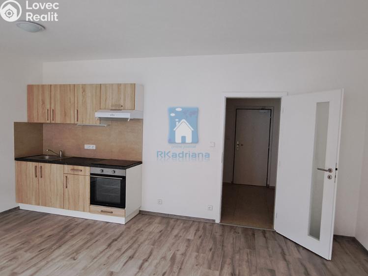 Pronájem bytu 1+KK Plzeň, Rejskova č. 1