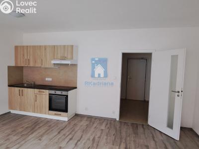 Pronájem bytu 1+KK Plzeň, Rejskova č. 1