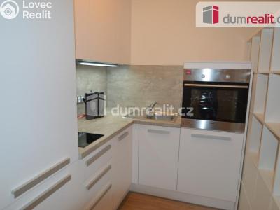 Pronájem bytu 1+KK Praha 3, Olšanská č. 1