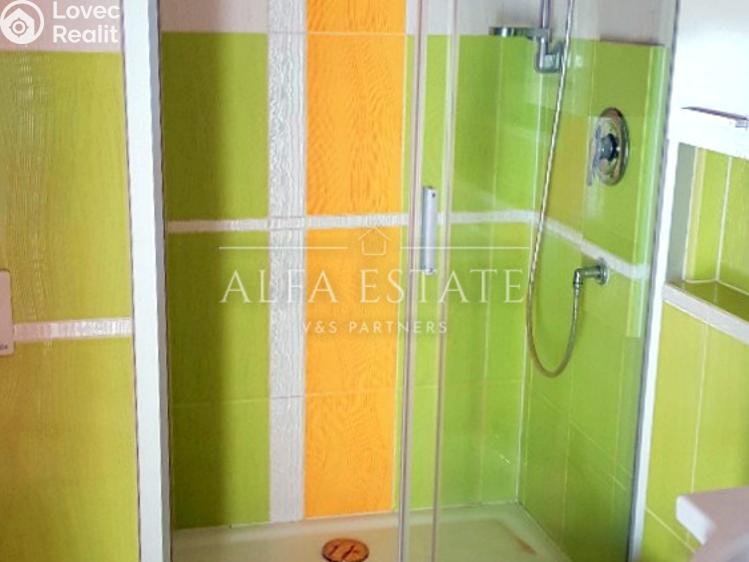 Pronájem bytu 1+1 Toužim, Plzeňská č. 7