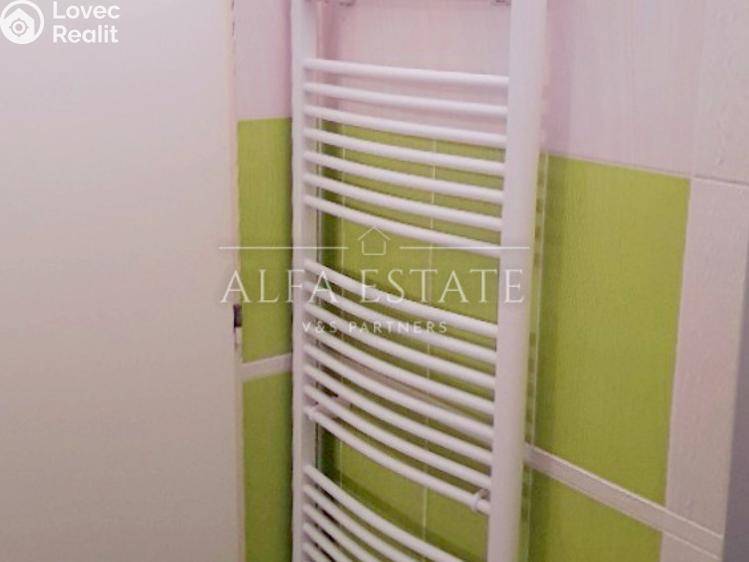 Pronájem bytu 1+1 Toužim, Plzeňská č. 8