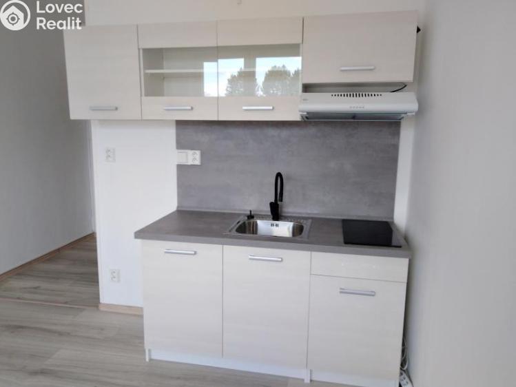 Pronájem bytu 1+KK Jihlava, Okružní č. 5