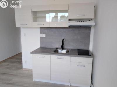 Pronájem bytu 1+KK Jihlava, Okružní č. 5