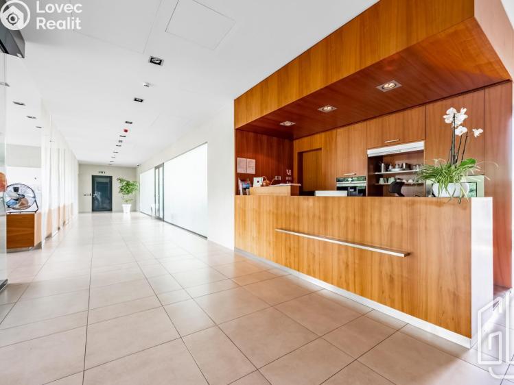 Pronájem bytu 3+KK Praha, K sídlišti č. 14