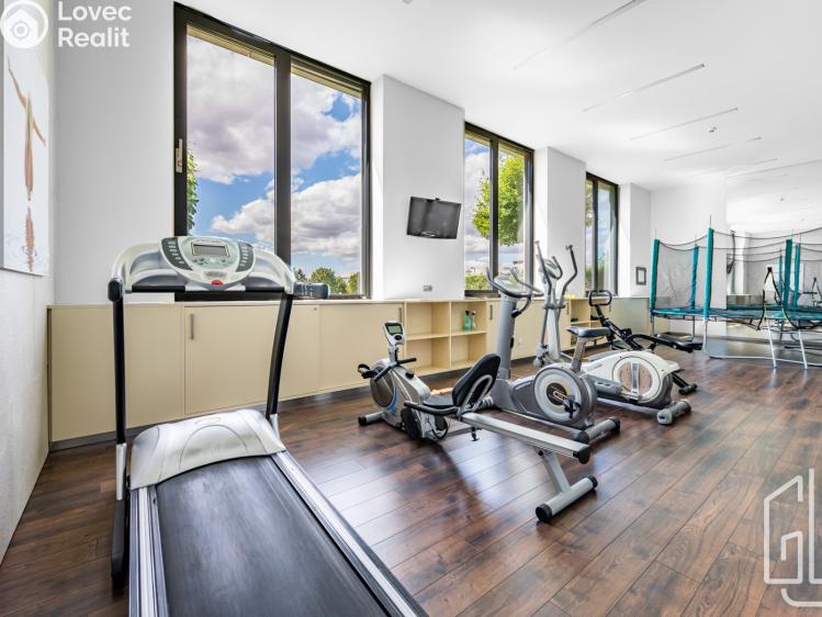 Pronájem bytu 3+KK Praha, K sídlišti č. 16