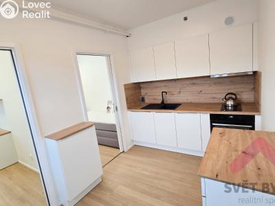 Pronájem bytu 2+1 Praha, Hindlova č. 2