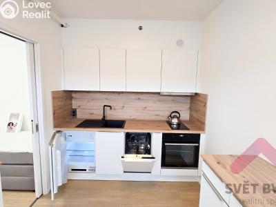 Pronájem bytu 2+1 Praha, Hindlova č. 6