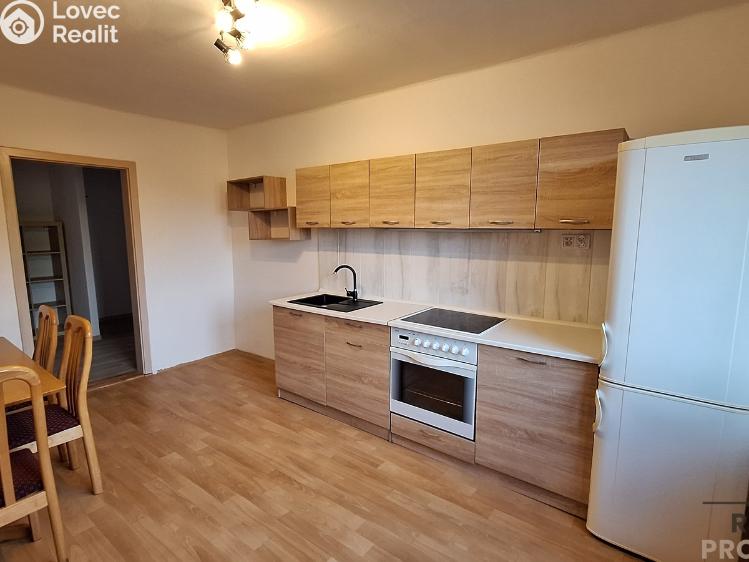 Pronájem bytu 2+1 Ústí nad Labem, Elišky Krásnohorské č. 1
